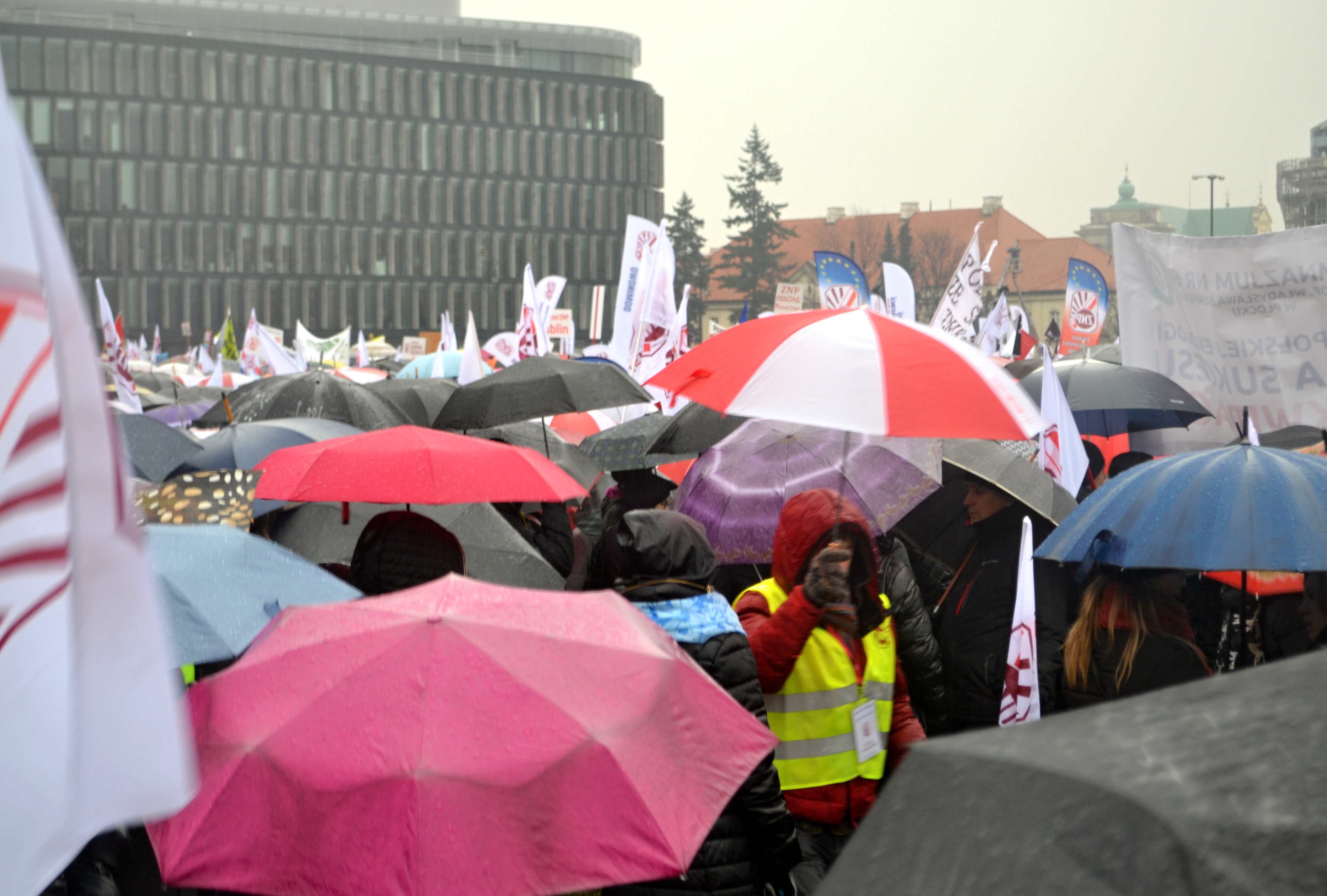 protest-znp-11-19-16-13